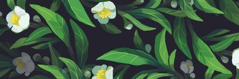 miss_chloe header picture leakfans.com