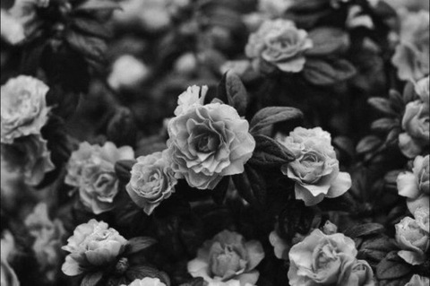 missagenttease header picture leakfans.com