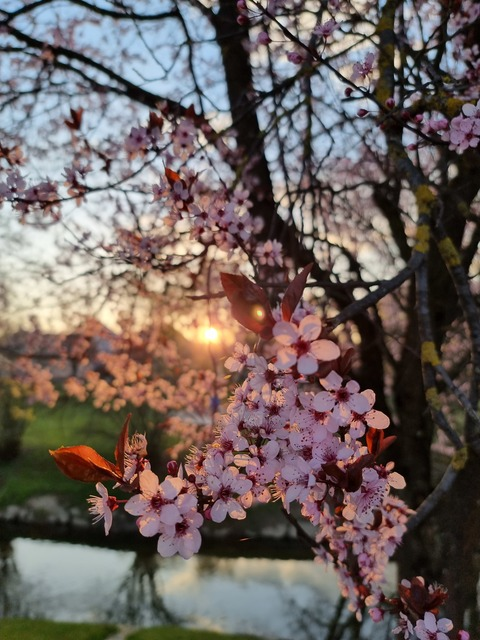 missalisandrafree header picture leakfans.com