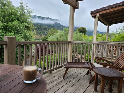 missbabybabyellie header picture leakfans.com