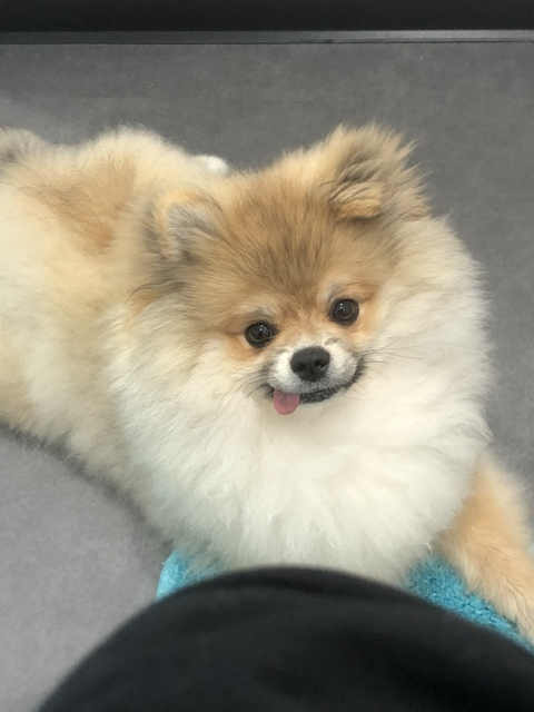 missbeardedneko header picture leakfans.com