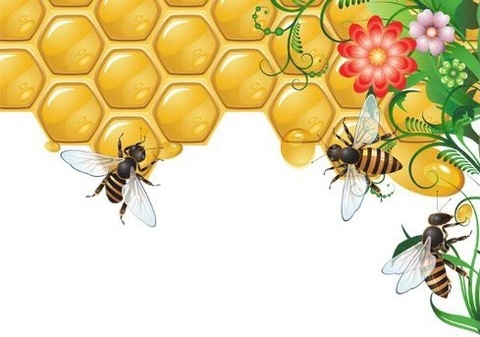 missbee733 header picture leakfans.com