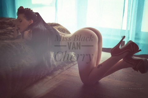 Header of missblackvancherry