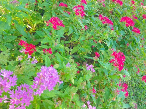 missingmiiaa header picture leakfans.com