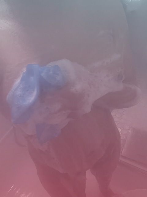 misskitty94xo header picture leakfans.com