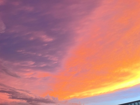 misskris0925 header picture leakfans.com