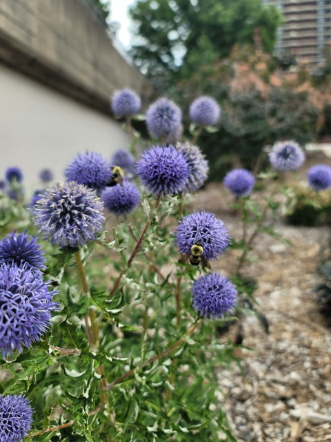 missm0nstera header picture leakfans.com