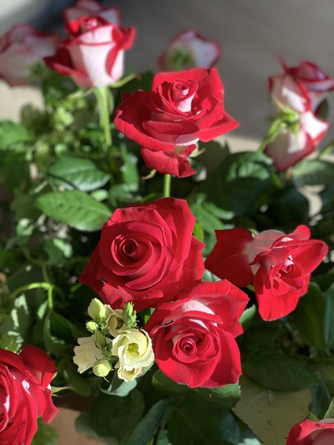 missmasie header picture leakfans.com