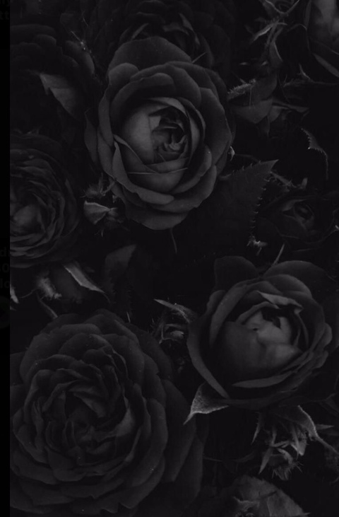 missnicole8899 header picture leakfans.com