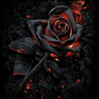 misspamelot profile picture leakfans.com