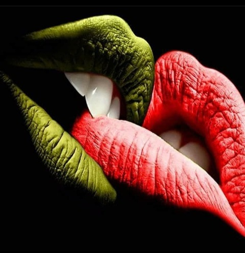 mizfitkitti header picture leakfans.com