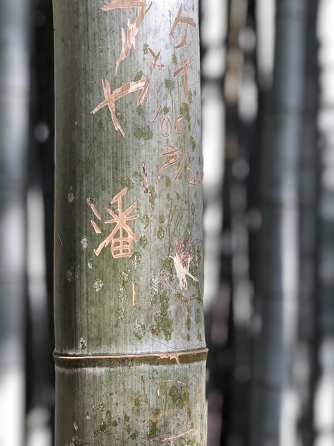 mlxxxvi header picture leakfans.com