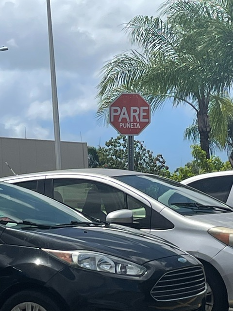 mmelassa8 header picture leakfans.com