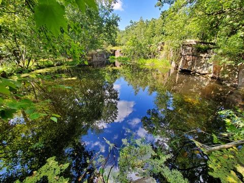 mnguy95 header picture leakfans.com