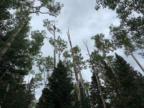 moedonut header picture leakfans.com