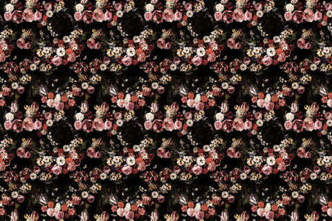 moiosu header picture leakfans.com