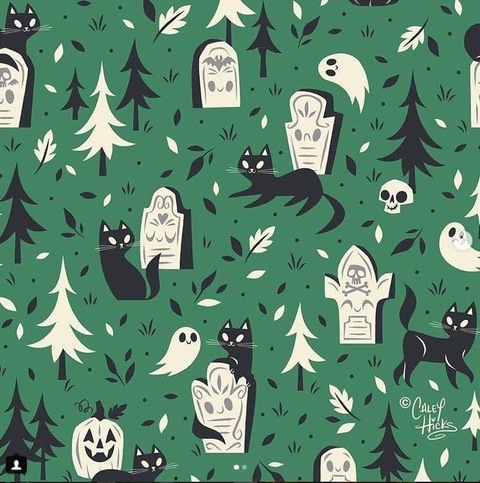 molly_connolly header picture leakfans.com