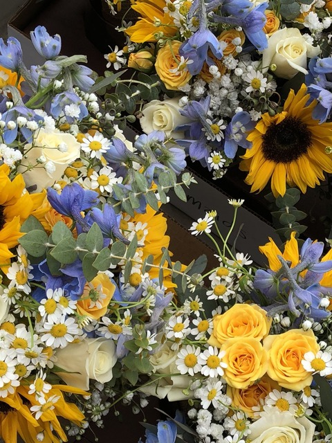 monekysbelly header picture leakfans.com