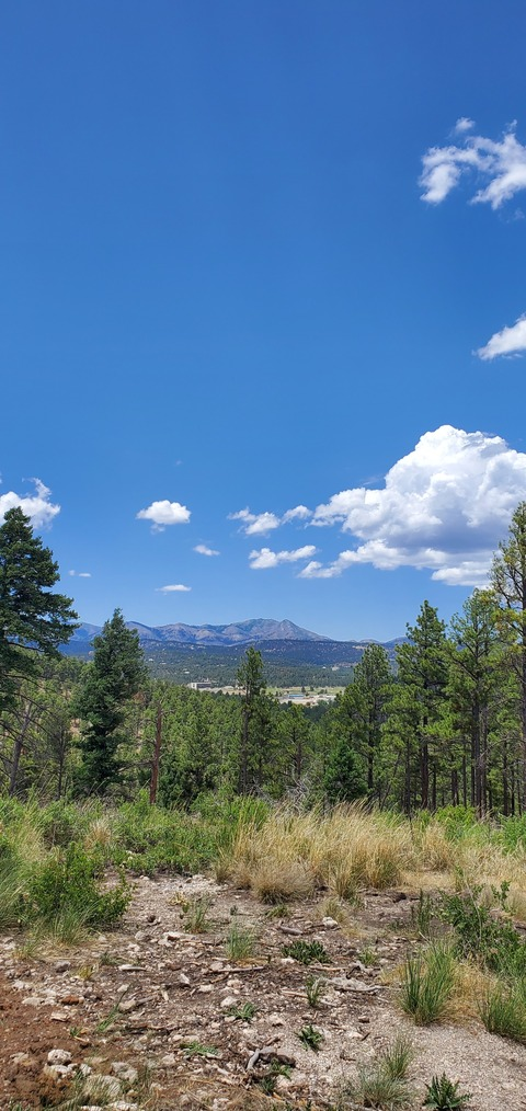 money_honey96 header picture leakfans.com