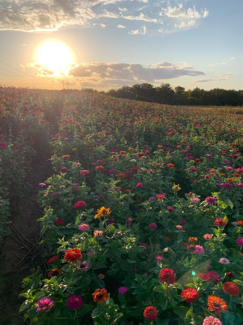 monicataytay header picture leakfans.com