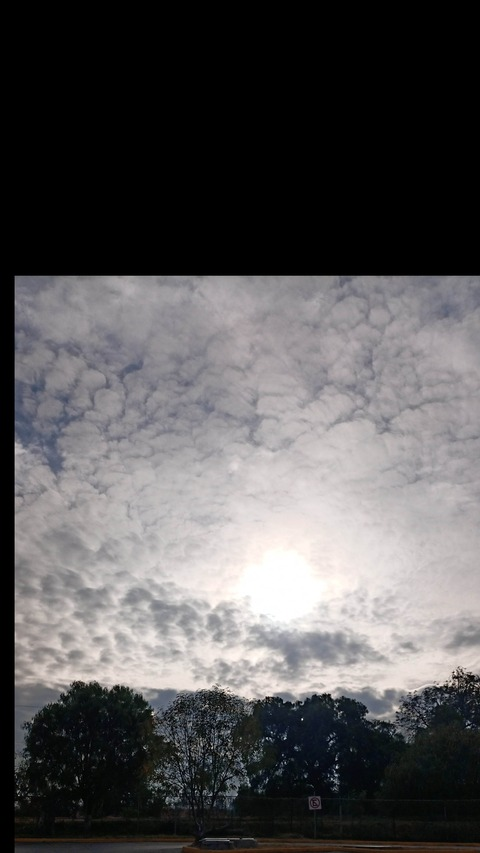 monsec03 header picture leakfans.com