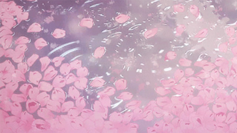 Header of moolahcowgirl