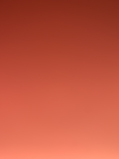 morg3 header picture leakfans.com