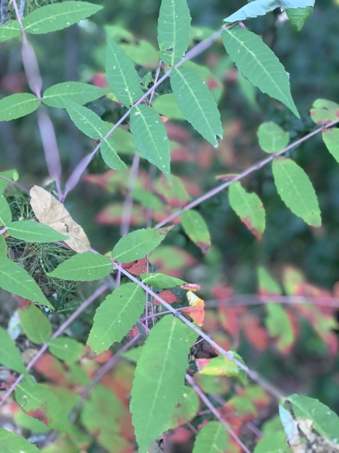 morganelizabeth header picture leakfans.com