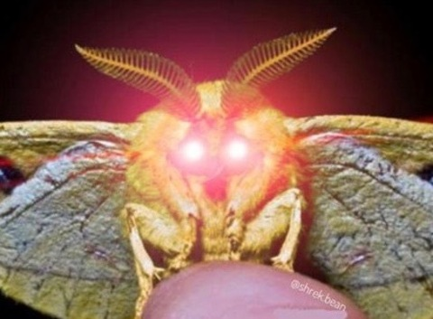 mothma header picture leakfans.com