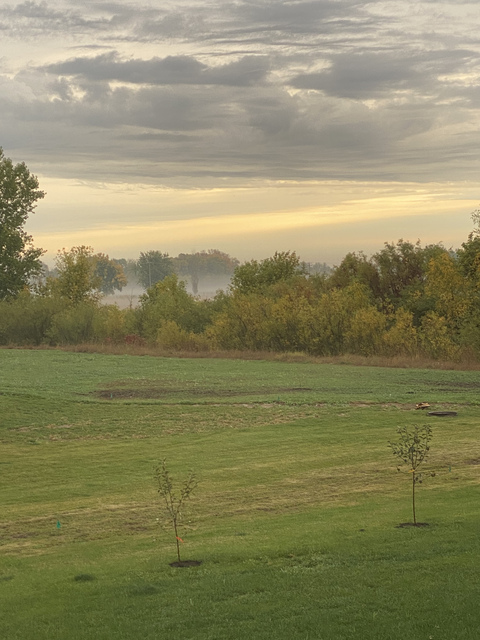 mr-jerk header picture leakfans.com