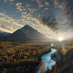 mr_law profile picture leakfans.com