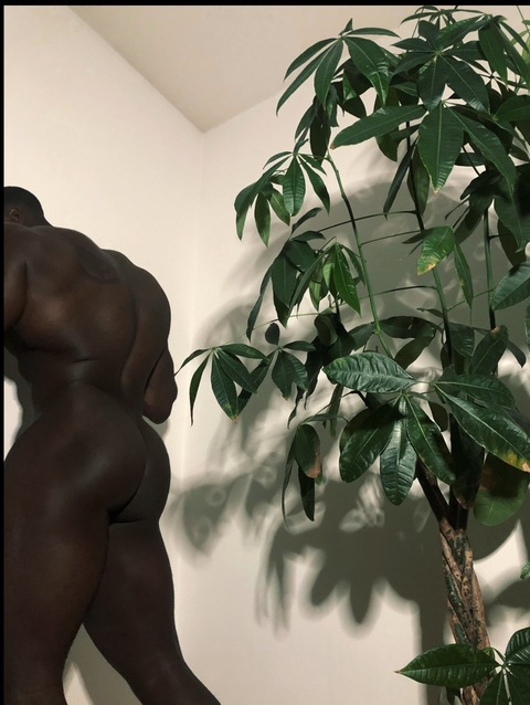 mrknedy header picture leakfans.com