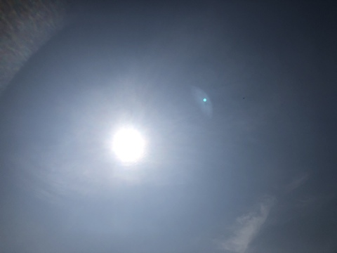 mronyx header picture leakfans.com