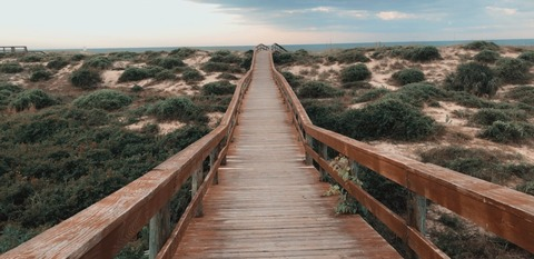 mrshamsandwich header picture leakfans.com