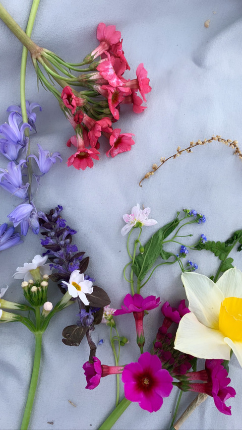 ms.sunnyhoney header picture leakfans.com