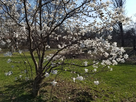 msc14607 header picture leakfans.com