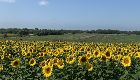 muthaferkingtrainwreck header picture leakfans.com