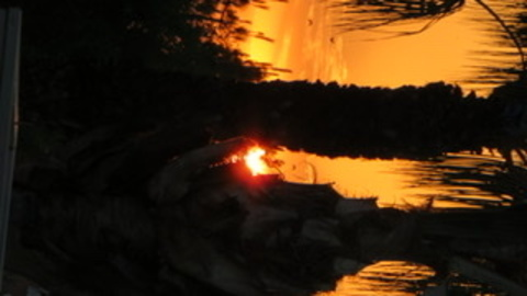 mylfnschaekzzz header picture leakfans.com