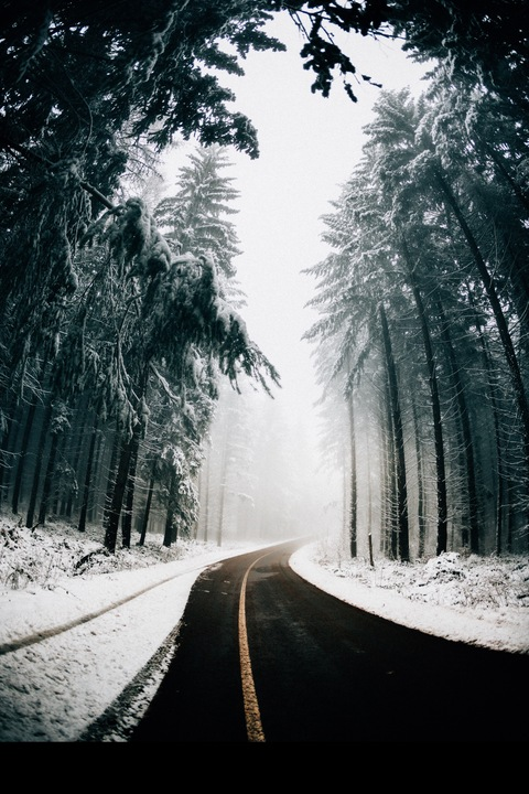 mysticaldaisyy header picture leakfans.com