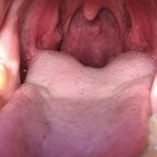 n3edybun profile picture