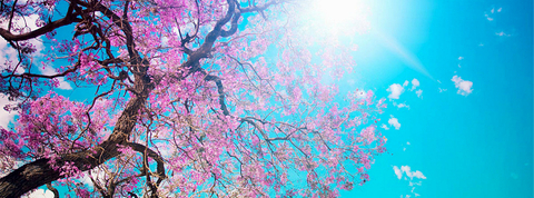 na-nadia header picture leakfans.com