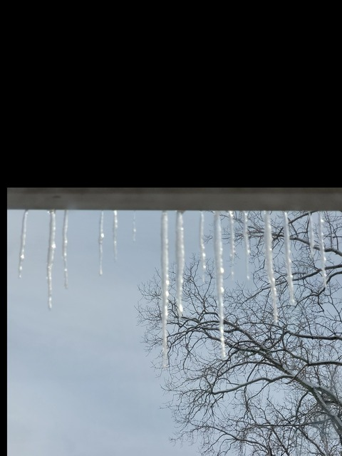 nadinesfree header picture leakfans.com