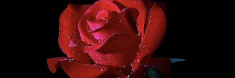 nahdgaf header picture leakfans.com