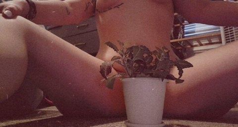 Header of nakedplantlady1