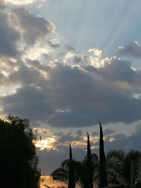 nanette header picture leakfans.com