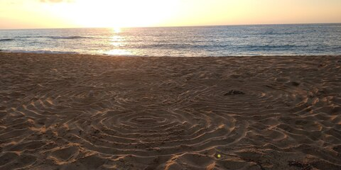 nareda header picture leakfans.com