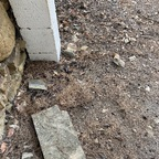 natacha33 profile picture leakfans.com