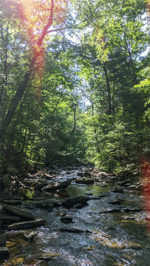 natureboyfourlife header picture leakfans.com