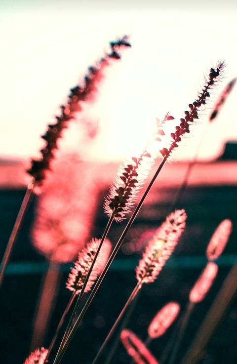 naughty_girl_007 header picture leakfans.com