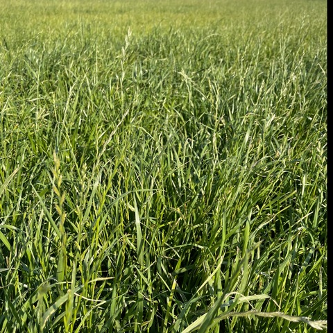 naughtyfarming header picture leakfans.com